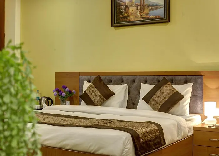 Hotel Tms Grand New Delhi